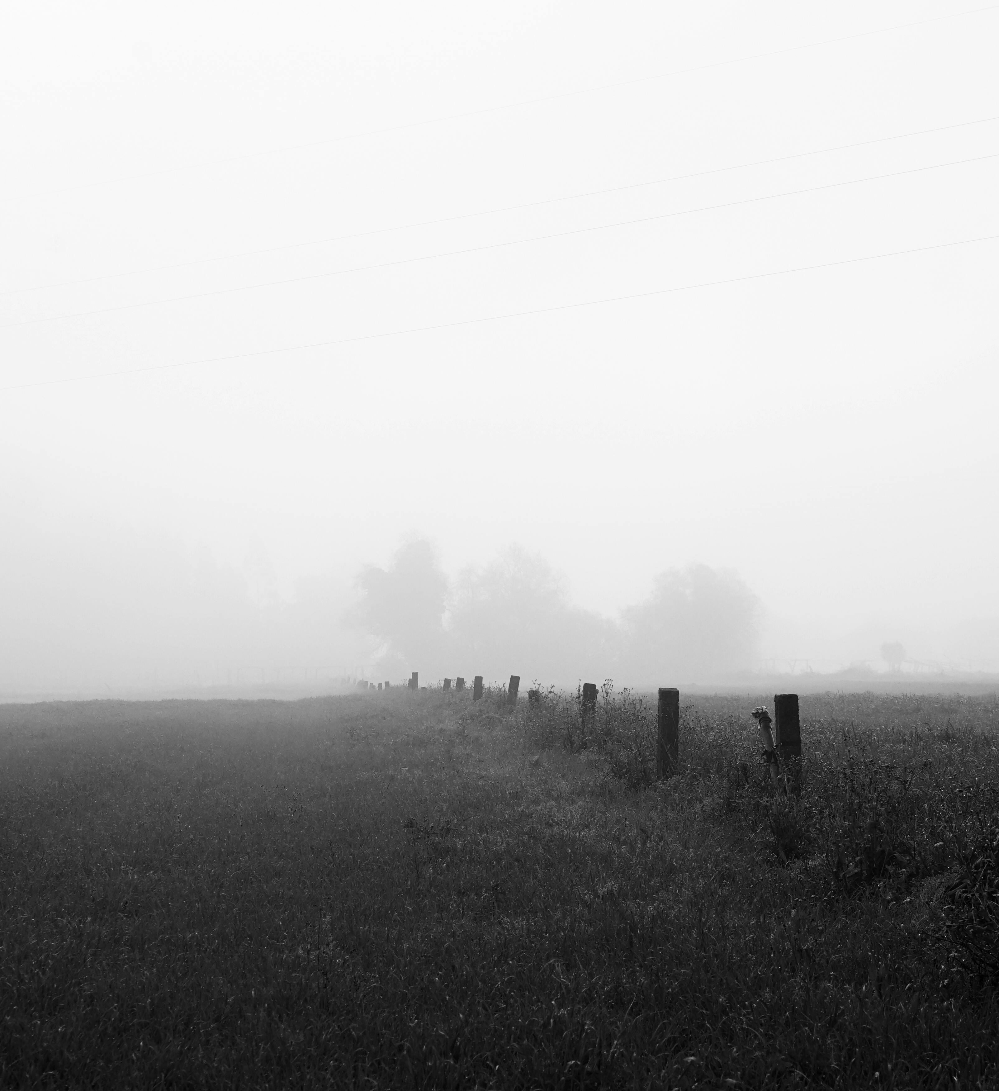 Black and white fog over grass representing the constant mental load and uncertainty of parenting a child with diabetes